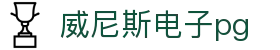 威尼斯电子pg
